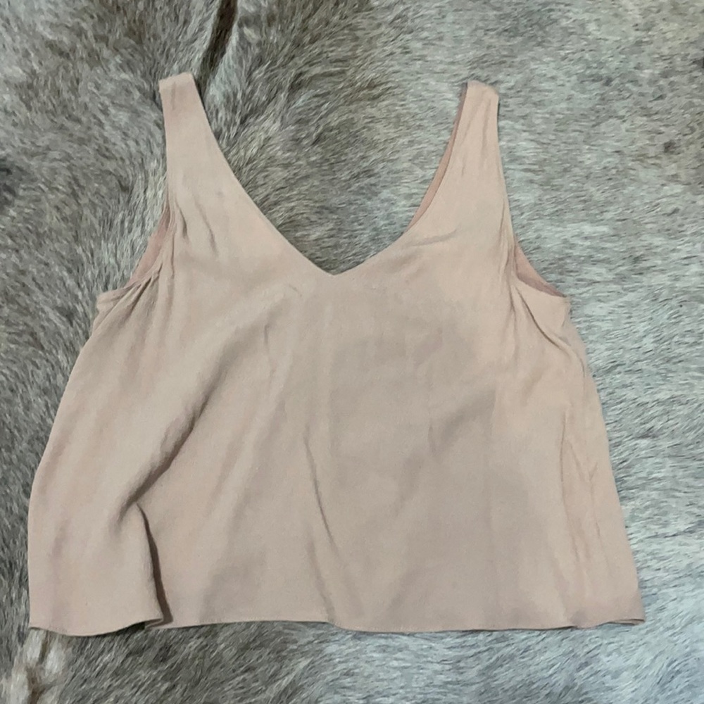 Aritizia Crop Top